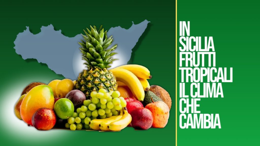 In Sicilia Frutti Tropicali