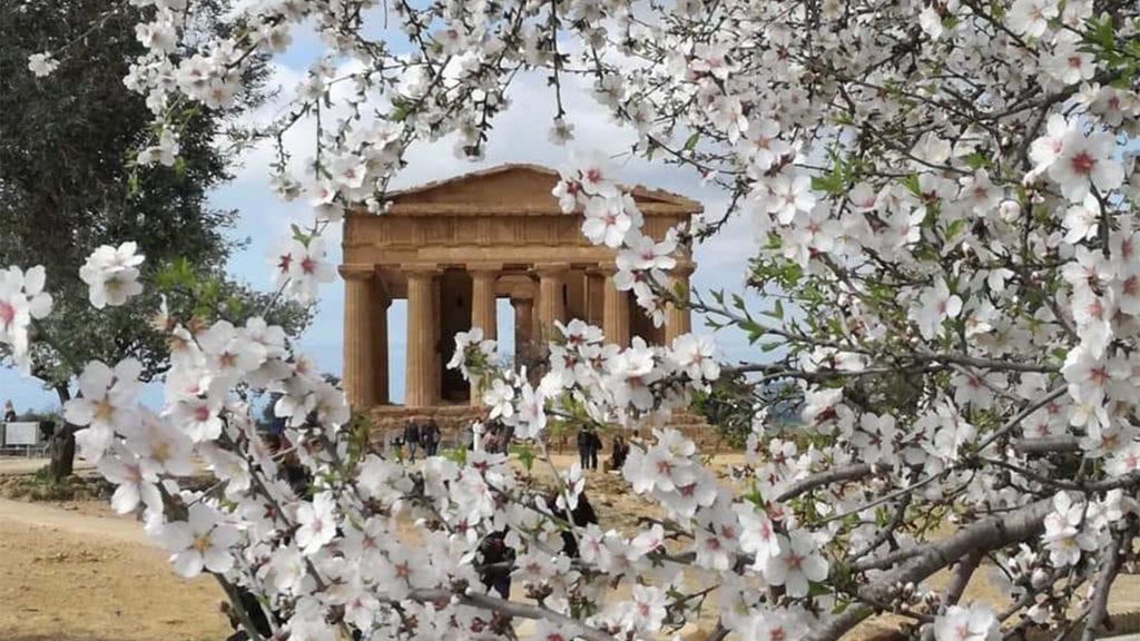 Sagra del Mandolo in Fiore