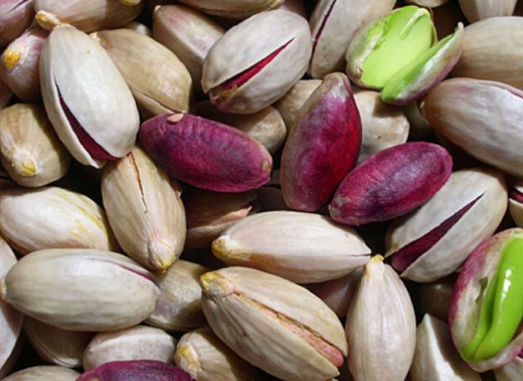 pistacchio
