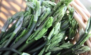 La Sagra delle Verdure Tradizionali