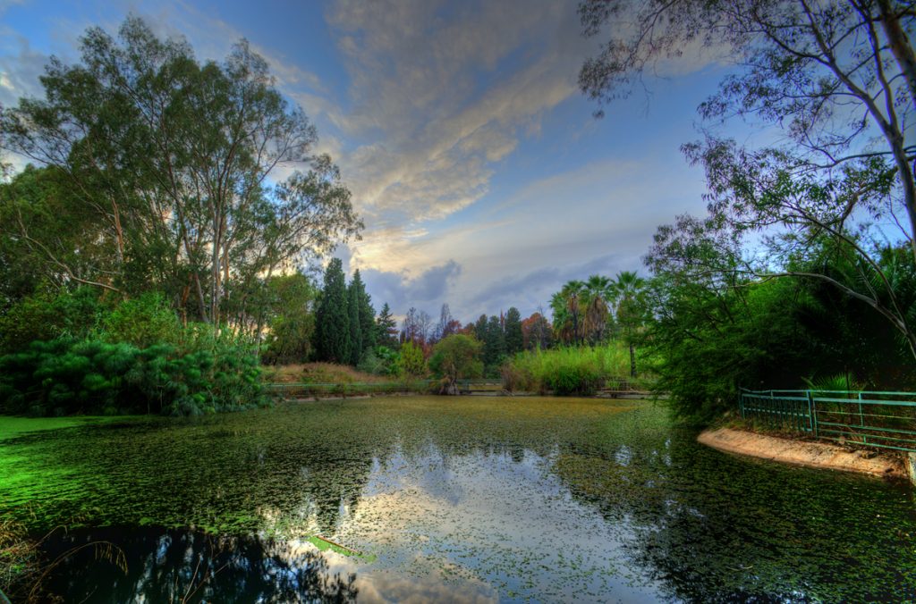 Riserva Naturale Fiume Ciane e Saline di Siracusa