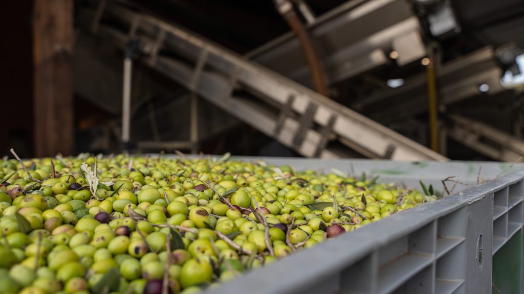 saldo bandi PNRR agricoltura