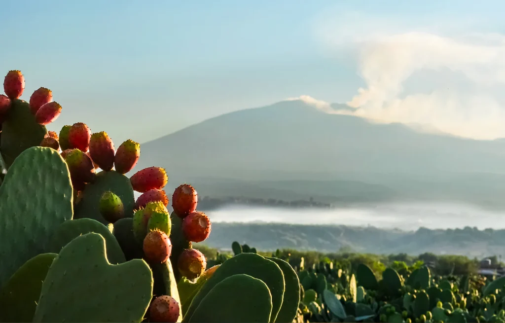 Sicilia mete italiane più apprezzate