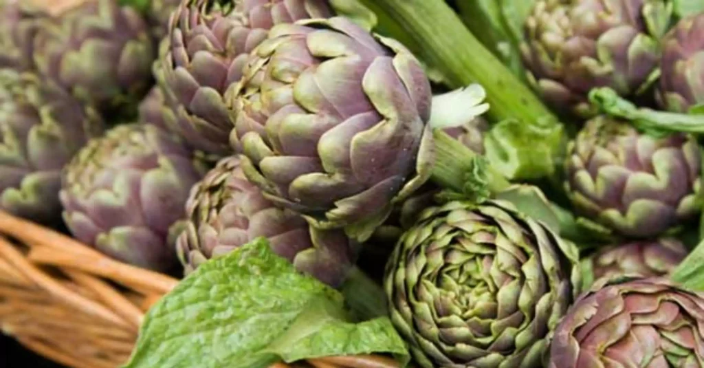 Sagra del Carciofo Ramacca 2026