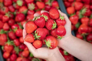 Festa della Fragola Siracusa 2026