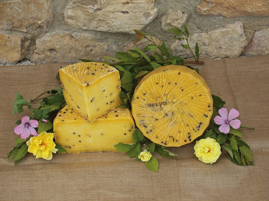 Piacentinu Ennese DOP