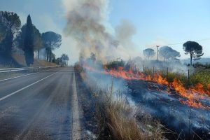 Campagna antincendio Sicilia 2026