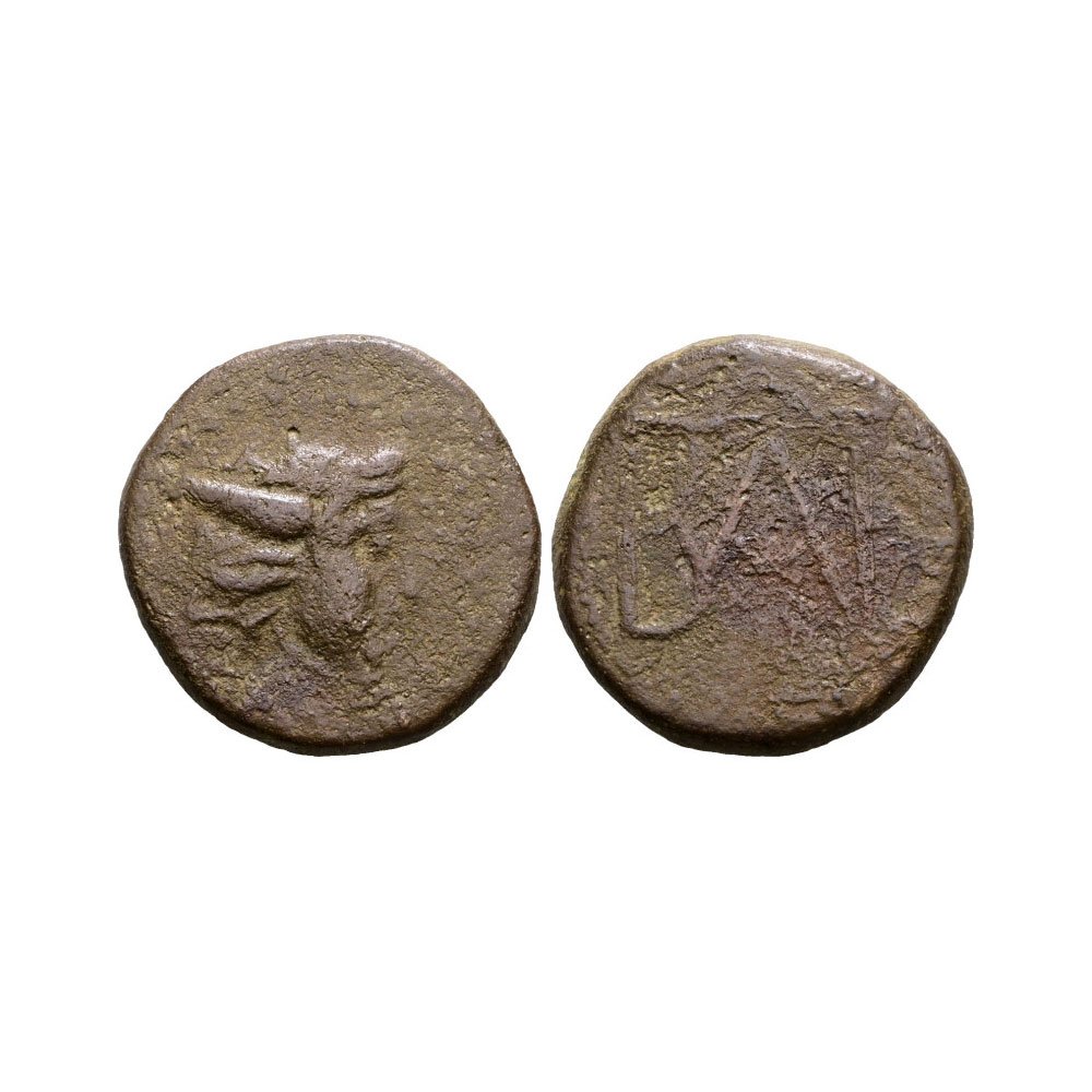 Monete antiche Gela
