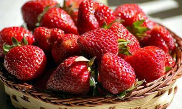 Sagra della Fragola Maletto 2026