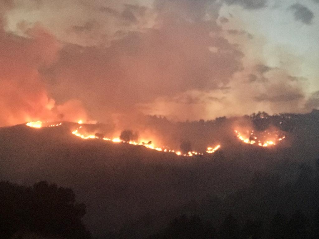 incendi Sicilia 25 milioni