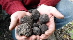 Sagra del Tartufo dei Nebrodi 2026